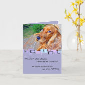 Engelse Cocker Spaniel Verjaardag Wenskaart Kaart (Gele Bloem)