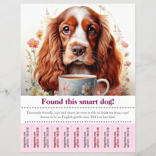Engelse Cocker Spaniel Zoek Flyer (Voorkant)