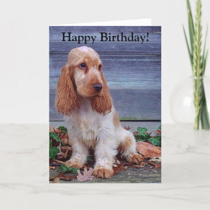 Engelse Cocker Spaniels Kaart