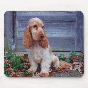 Engelse Cocker Spaniels Muismat