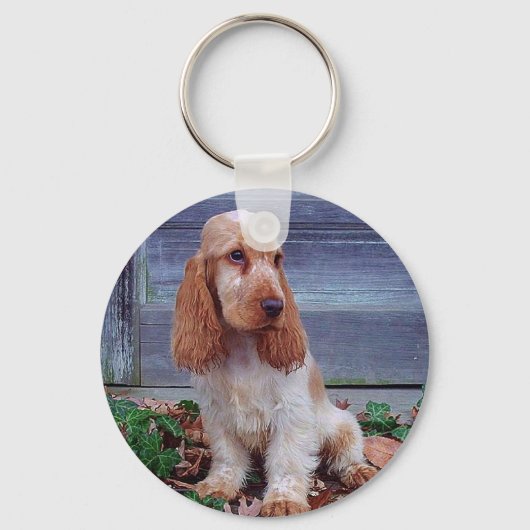 Engelse Cocker Spaniels Sleutelhanger (Voorkant)