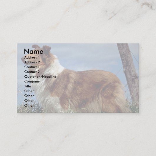 Engelse Collie Visitekaartje (Voorkant)