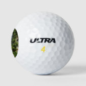 Engelse Cottage I Charmerend Golfballen (Logo)