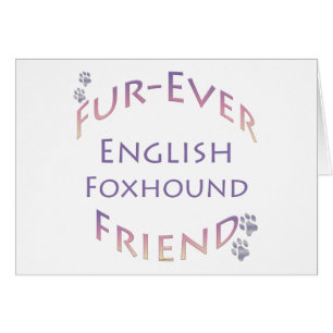 Engelse Foxhound Furever