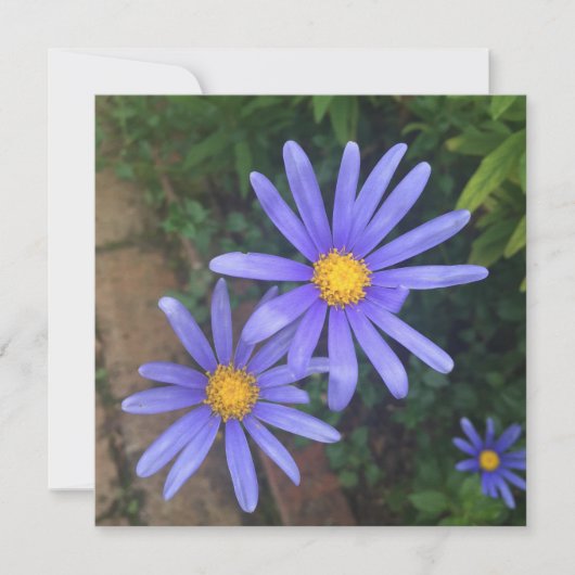 Engelse Garden Note Card Feestdagenkaart (Voorkant)