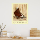 Engelse geforceerde Bald-duif Poster (Keuken)