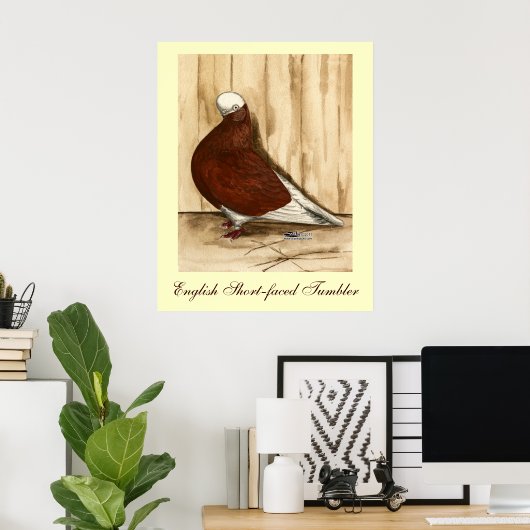 Engelse geforceerde Bald-duif Poster (Thuiskantoor)