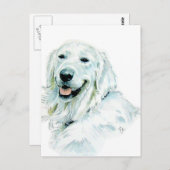 Engelse Golden Retriever Post Cards Briefkaart (Voorkant / Achterkant)