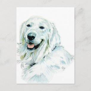 Engelse Golden Retriever Post Cards Briefkaart