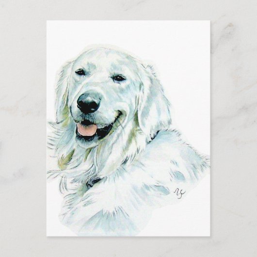 Engelse Golden Retriever Post Cards Briefkaart (Voorkant)