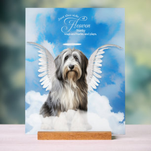 Engelse Herdershond Engel met Naam Huisdier Herden Acryl Bord