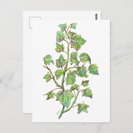 Engelse Ivy Briefkaart (Voorkant / Achterkant)