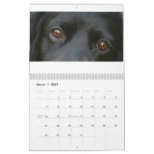 engelse kalender voor spaniel (Mar 2027)