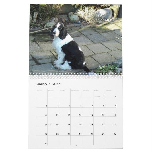 engelse kalender voor spaniel (Jan 2027)