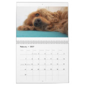 engelse kalender voor spaniel (Feb 2027)