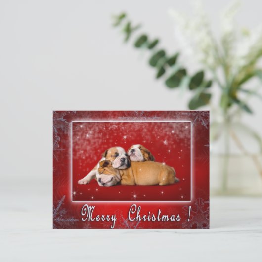 Engelse kerstkaart Bulldog Feestdagenkaart (Staand voorkant)
