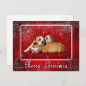 Engelse kerstkaart Bulldog Feestdagenkaart (Voorkant / Achterkant)