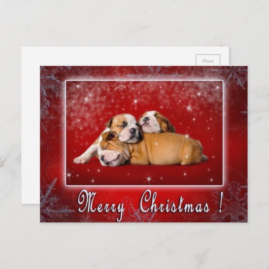 Engelse kerstkaart Bulldog Feestdagenkaart (Voorkant / Achterkant)