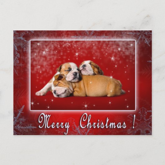 Engelse kerstkaart Bulldog Feestdagenkaart (Voorkant)