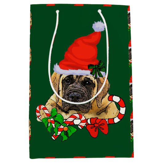 Engelse kerstmis medium cadeauzakje (Voorkant)