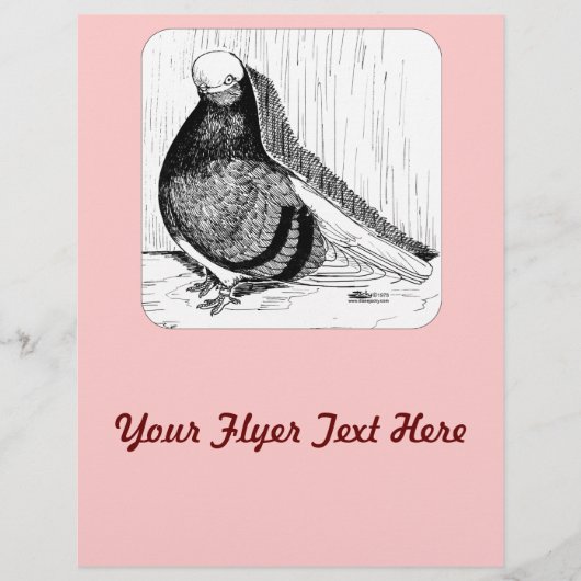 Engelse kortharige duivenkaal 1978 flyer (Voorkant)