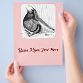 Engelse kortharige duivenkaal 1978 flyer (Hand)