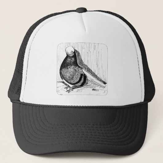 Engelse kortharige duivenkaal 1978 trucker pet (Voorkant)