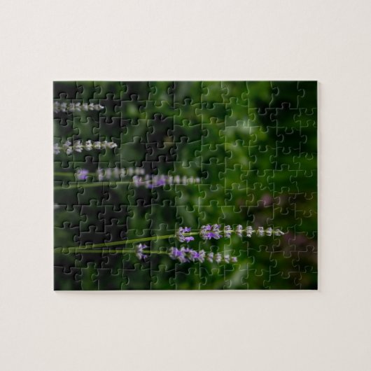 Engelse Lavendel Legpuzzel (Horizontaal)