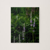 Engelse Lavendel Legpuzzel (Verticaal)