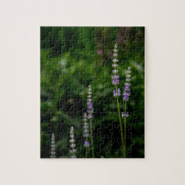 Engelse Lavendel Legpuzzel