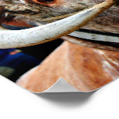 Engelse Long Horn Koe Cattle Poster (Hoek)