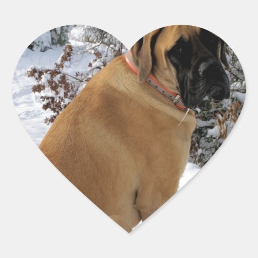 Engelse Mastiff dog "Snow Pose" foto sticker (Voorkant)