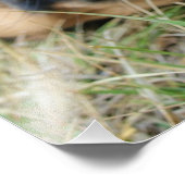 Engelse Mastiff-hond glimlacht - foto Foto Afdruk (Hoek)