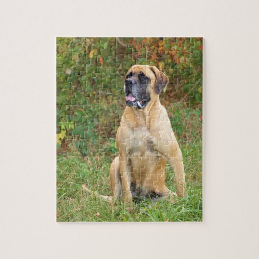 Engelse Mastiff-hondenpuzzel Legpuzzel (Verticaal)