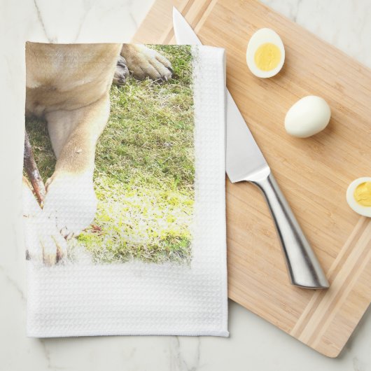 Engelse Mastiff Kitchen Towel Theedoek (Quarter Fold)