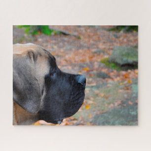 Engelse Mastiff. Legpuzzel