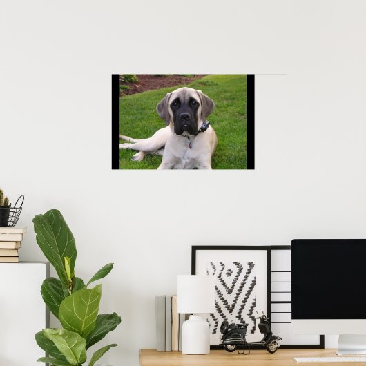 Engelse Mastiff puppy Poster (Thuiskantoor)