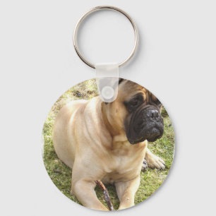 Engelse Mastiff-Sleutelhanger Sleutelhanger