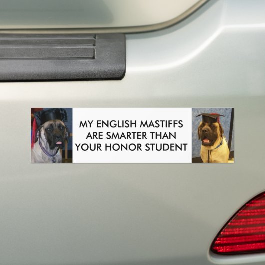ENGELSE MASTIFFEN ZIJN SLIMMERE BUMPERSTICKER (Op auto)