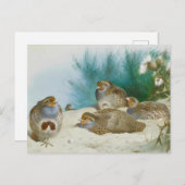 Engelse patrijs met paard en distel, Kunst Briefkaart (Voorkant / Achterkant)