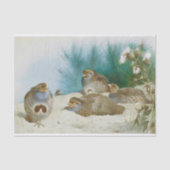 Engelse patrijs met paard en distel, Kunst Tissuepapier (Voorkant)