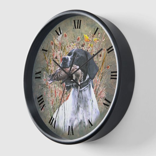 Engelse pointer (Hoek)