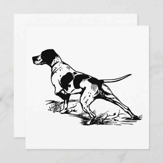 Engelse pointer (Voorkant / Achterkant)