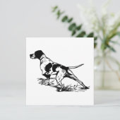 Engelse pointer (Staand voorkant)