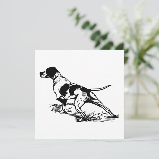 Engelse pointer (Staand voorkant)