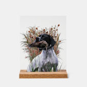 Engelse Pointer  Acryl Bord (Voorkant)
