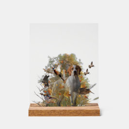Engelse Pointer Acryl Bord