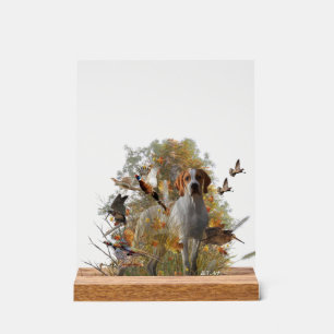 Engelse Pointer Acryl Bord