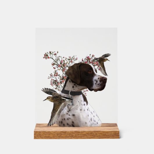 Engelse Pointer Acryl Bord (Voorkant)