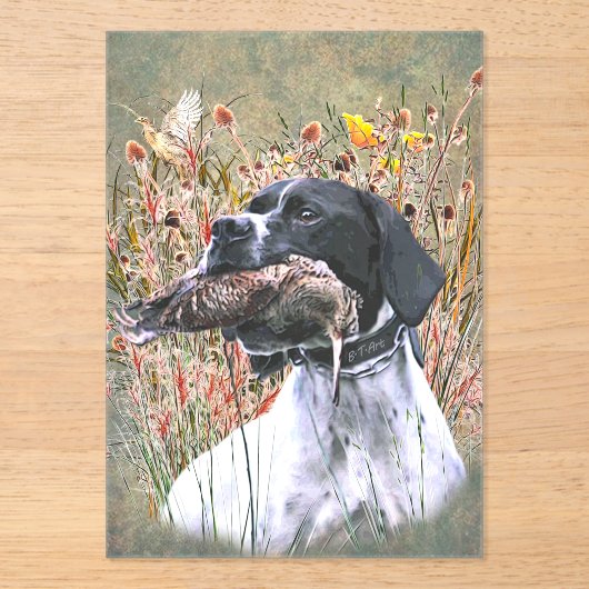 Engelse pointer acryl uitnodigingen (Voorkant)